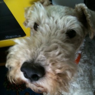 pablogargallo's profile picture. Docente de informática en #UNIR. Doctor en educación. Experto en #redes, #moodle y programación. Cofundador de https://t.co/G6fJEzIJns