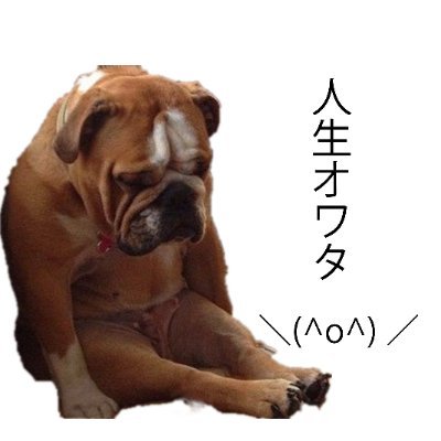 犬戦士さんのプロフィール画像