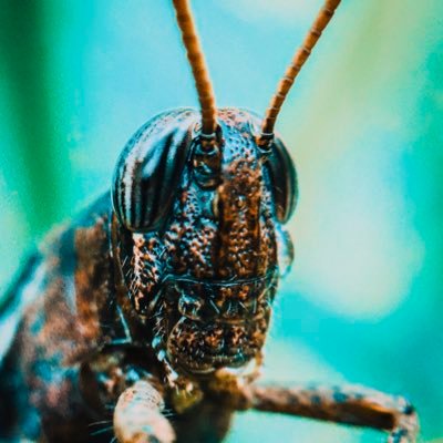 creativeai3's profile picture. i am a expert graphic designer