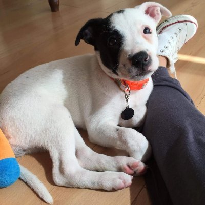 Yiya41476090's profile picture. 