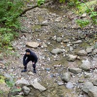 Luke Liu (@lukeliu404) 's Twitter Profile