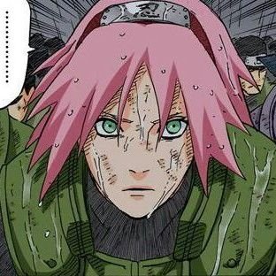Daily Sakura Manga 🌸さんのプロフィール画像