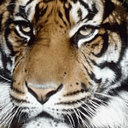 Therese Andersen - @riathand - Twitter