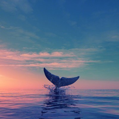 wit20203's profile picture. science and market