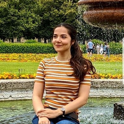 RaziehRezaei's profile picture. ML researcher @LMU_Muenchen, @TU_Muenchen. Working on ExplainableAI and Robustness