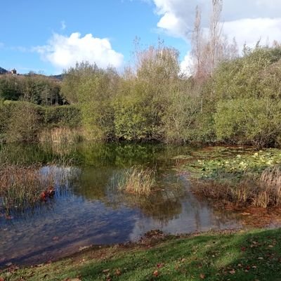 Ana51881781's profile picture. El mar