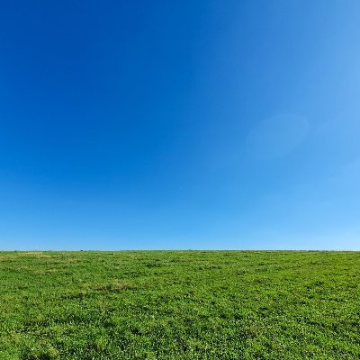 MrsPlainTruth's profile picture. 