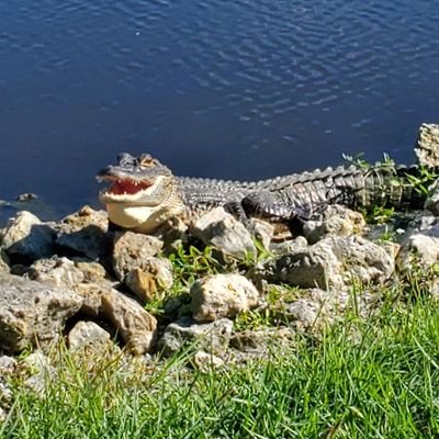 Mike90534789's profile picture. May the best win.