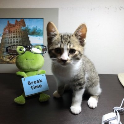 tetsuyasaito100's profile picture. 