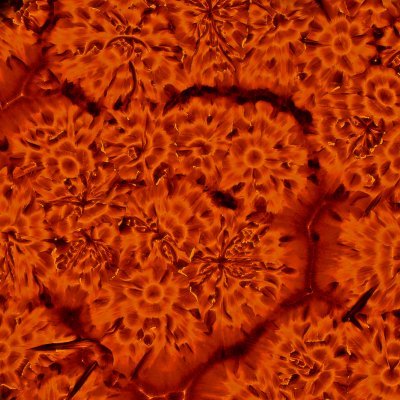 scienti_x's profile picture. Science x Art = NFT, 

Scientist, Chemist and Microscopist

Computational, scientific and digital artist

Crypto Addict