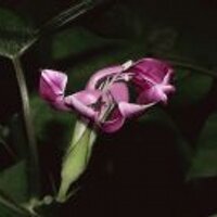 勇気のJoe☆ (@joe_stera) 's Twitter Profile Photo