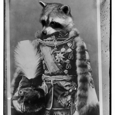 Guardsmen321's profile picture. 