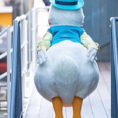 fOOmcc2VUYS8MaZ's profile picture. 