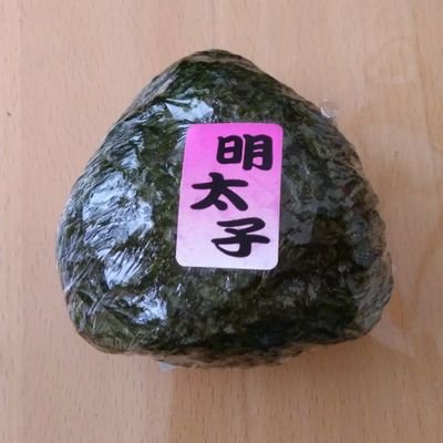 ブロックでかっこいいロボをつくりたい人です。よろしくお願いします。