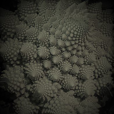 IOXS01's profile picture. Pls use quotation marks when you can, so we can check ourselves.