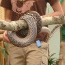 Mary Joyce Padilla - @joyce_padilla - Twitter