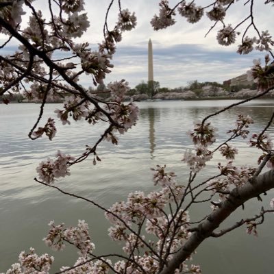 左手はそえるだけ、ってしてたらもっと動かせって怒られた アメリカのその空気を吸うだけで高く跳べると思ってた ひとまず日本一の高校生になりたい 北海道/仙台/東京/静岡/沖縄OH/DC/CA/MN