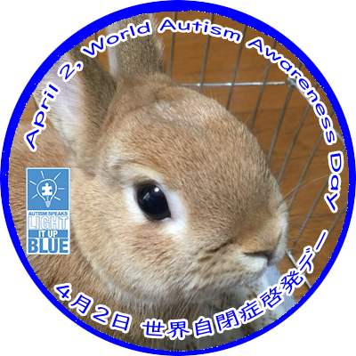 うさぎ Lapin Pandax Twitter うさぎ Lapin Pandax Twitter