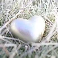 Nurse faculty•mom•wife #caregivers #compassionfatigue #palliativecare