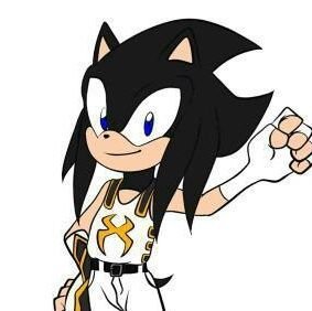 I am Roman The Hedgehog 

I can do Drp or Rp 

make friends or family 

I have few Male Christians and Female Characters