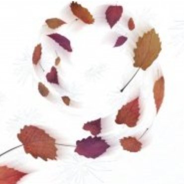 sakamichikazeno's profile picture. 東京 相手のことをもっと知りたいと思うことが気持ちよくする第一歩だと思う。 ENFP-A 小熊维尼 64