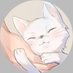 来栖 メロ (@____mero_____) Twitter profile photo 来栖 メロ (@____mero_____) Twitter profile photo
