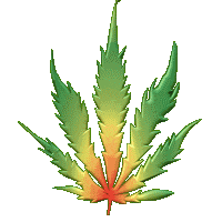 weedjokes_69's profile picture. ☀blunt humor☀