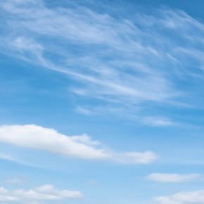 sukakaisu's profile picture. のんびりと