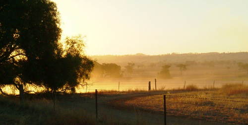 penalty987's profile picture. Agriculture communications in NSW