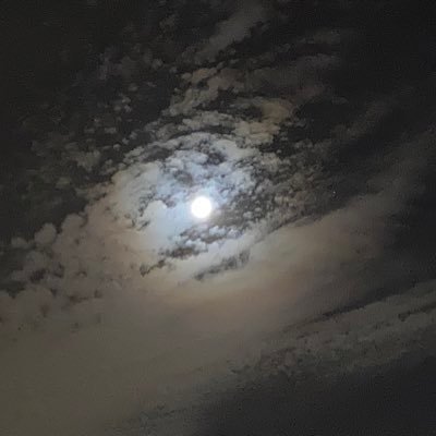 cassadracomplex's profile picture. please don't follow me