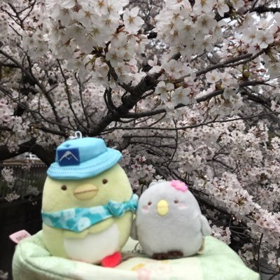えこさんのプロフィール画像