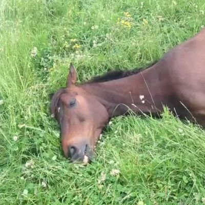 Z99WxvHiuh9EdAt's profile picture. 東洋大学、情報連携学部1年です！
お手柔らかにお願いします。