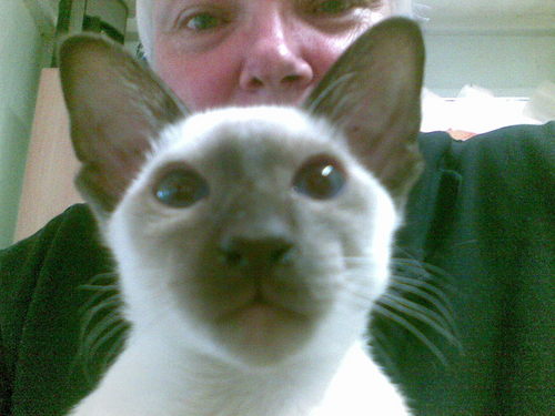 Giogio666's profile picture. 