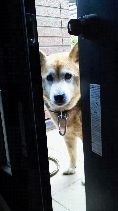 codea_t001's profile picture. 2011年４月から社会人◎なんとかやってます。テニスしてぇー!!