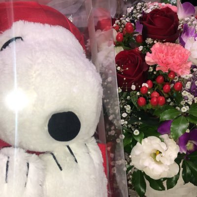 UttmEo7FSwAyOJ8's profile picture. 