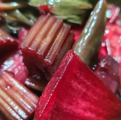 ay2rGZWSex25eE4's profile picture. 즐겁고 행복한 성장