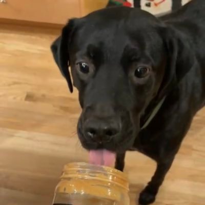 madddyy11111's profile picture. 