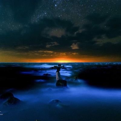 PATVERA5's profile picture. Mexicana, madre y profesionista