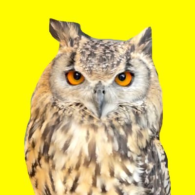 owl_tatchan Profile Picture