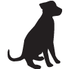 Hier dreht sich alles rund um den Hund und jenen Menschen, die ihm besonders verbunden sind. Wir twittern über aktuelle und interessante Vierbeiner-Themen.