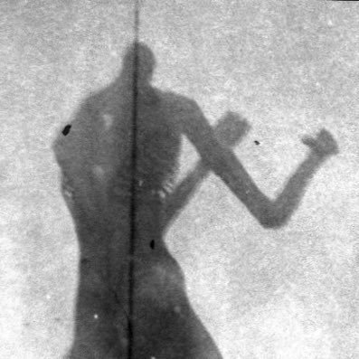 hayabread's profile picture. Orange marmalade cheesecake