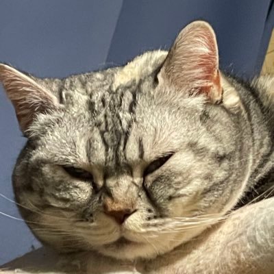 YIEOjTypGXVdz2x's profile picture. 交通機関が堪らなく怖いです。経理してます。不安神経症をなんとかする為に色々知識を学びがらなんとか対処中。ワードプレスブログ挑戦中、笑、蟹座 海外ドラマのcsi 裁判科学ドラマbull などが好き。https://t.co/jMOsiq2Hn9