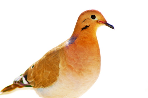 KFDphotography's profile picture. Fine Art Photographer  ~Creatively snapturing all that is happening with style, design and the amazing lives we live.