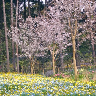 ニース堕ちです♡⛸️羽生結弦くんを応援💐見せたい「羽生結弦」のスケートを魅せてください🫧 ゆづ活ケンコー促進部⭐︎食欲部⭐︎珈琲部⭐︎着物部 https://t.co/fmOwqXES4l https://t.co/t6WXgBR4go. https://t.co/8YmxuLeuPo