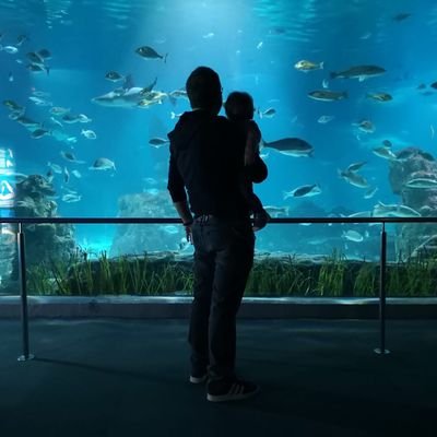 AlbertMoreno_'s profile picture. 