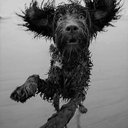 Angus George - @AngusGeorge7 - Twitter