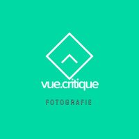 vue.critique(@vuecritique) 's Twitter Profileg