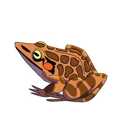 average frog enjoyerさんのプロフィール画像