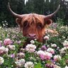 BullyBull18's profile picture. Bla bla bla

@WizardsPoW