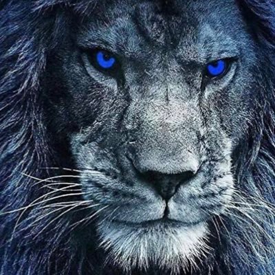 CryptoLion16 Profile Picture